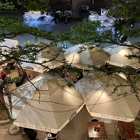 The Bonerowski Palace Boutique فندق 5*