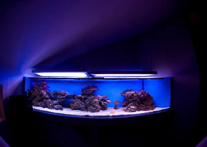 The Bonerowski Palace Boutique Otel 5*